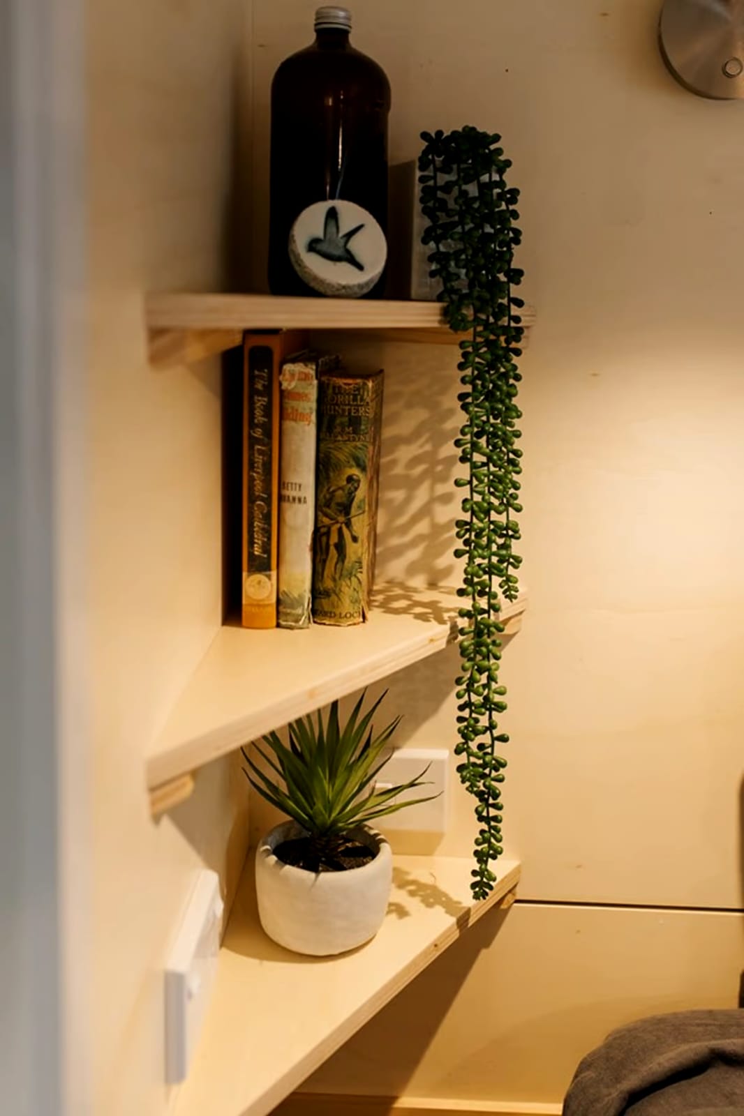 🏡 Tiny House 20 Pieds – Meublée | Neuve | Sur Roues | Revêtement Bois Blanc